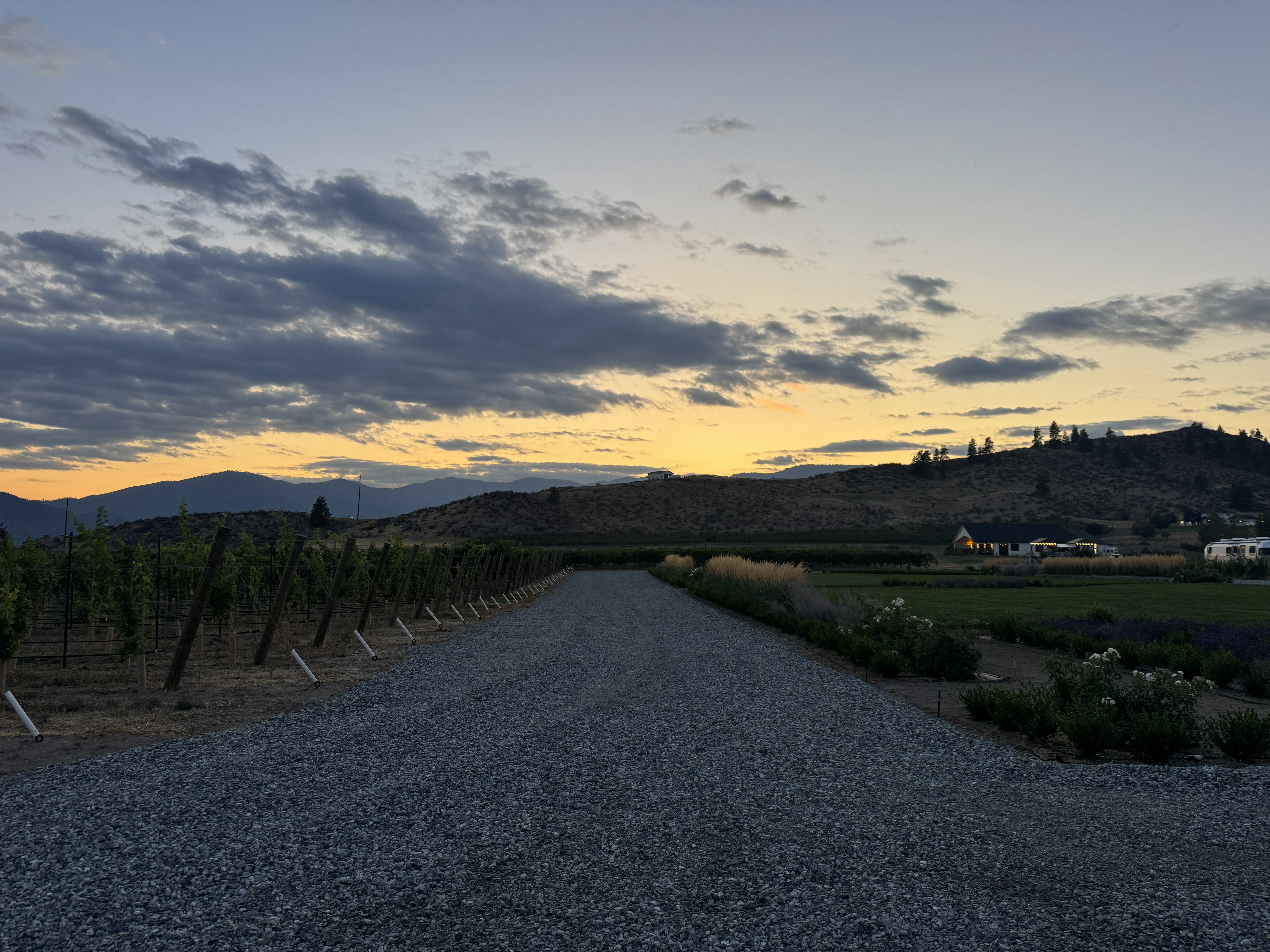 Gravel path through Eigner Estate™ vineyard at sunrise